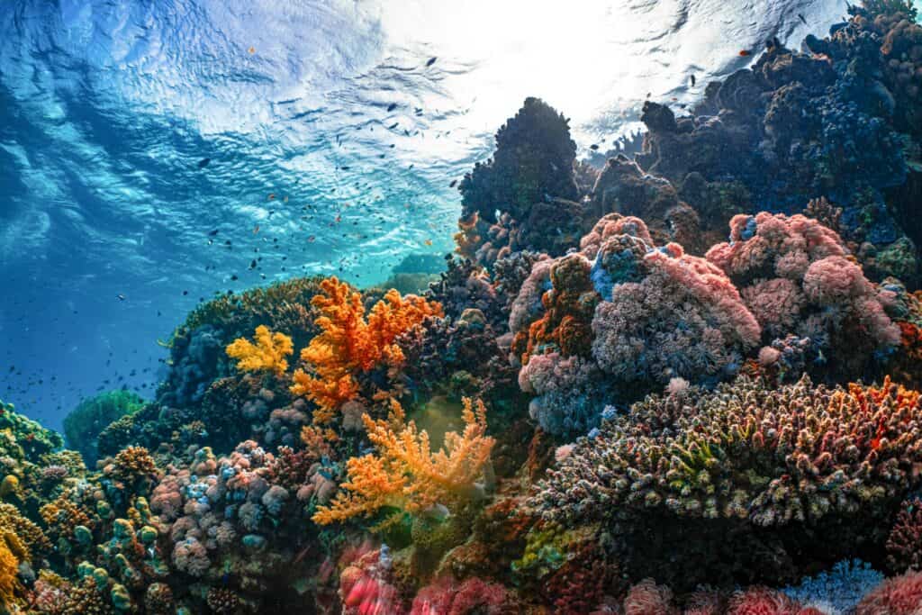 海葬示意圖_2